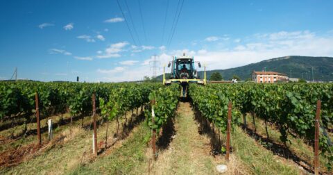 How Do Pesticides Work?